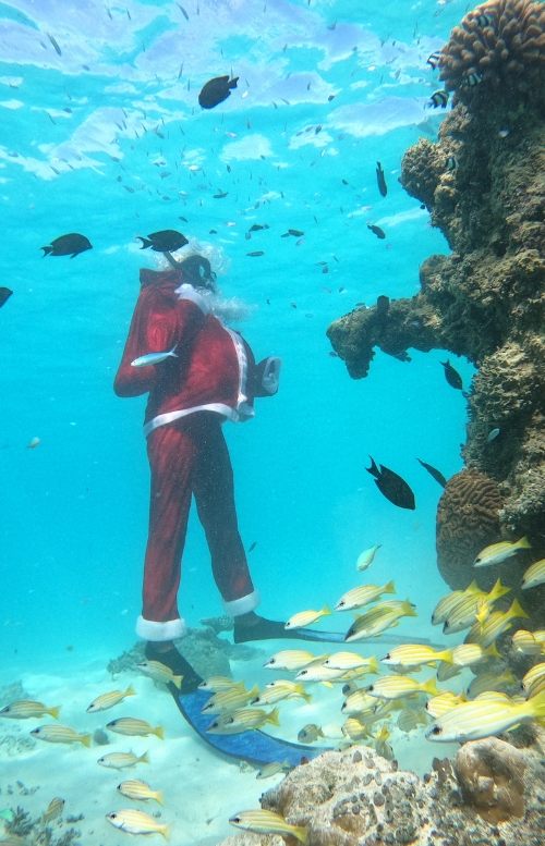 Festive season in Maldives with Veligandu