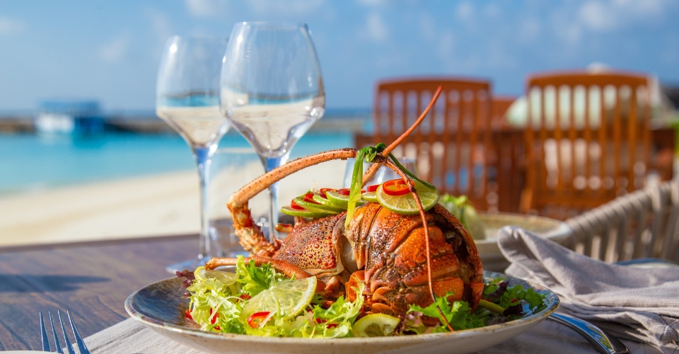 Maldivian lobster