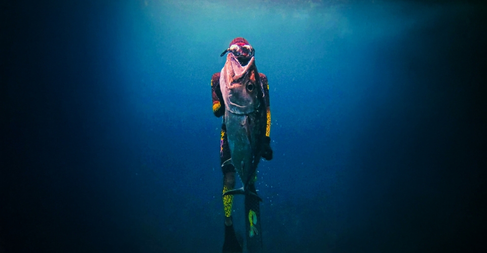Awsome underwater photography by Veligandu Maldives Excursions team