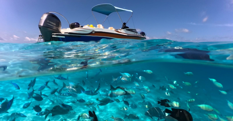 Snorkling excursions with Veligandu Maldives