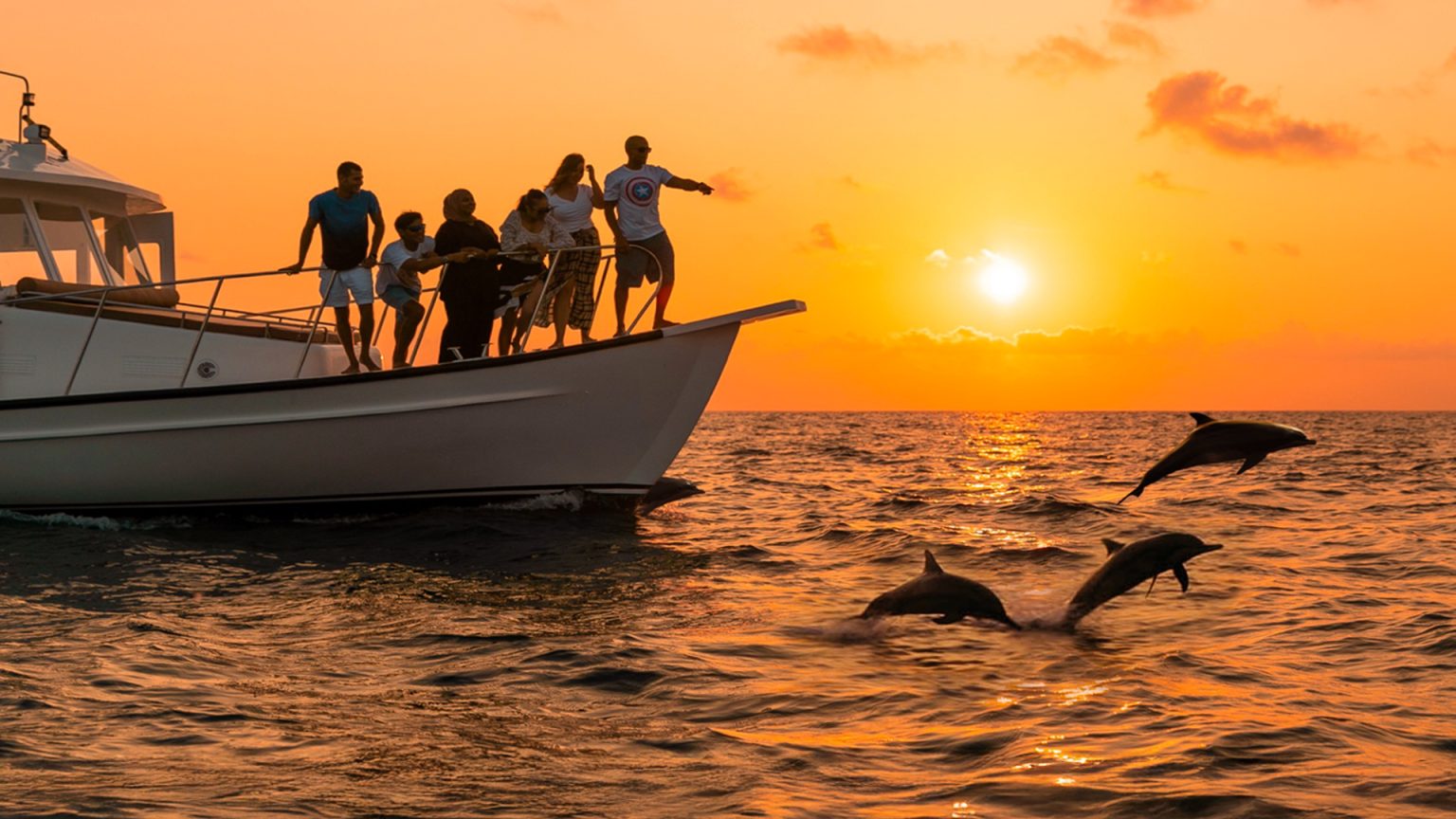 Sunset Dolphin Cruise at Veligandu Maldives