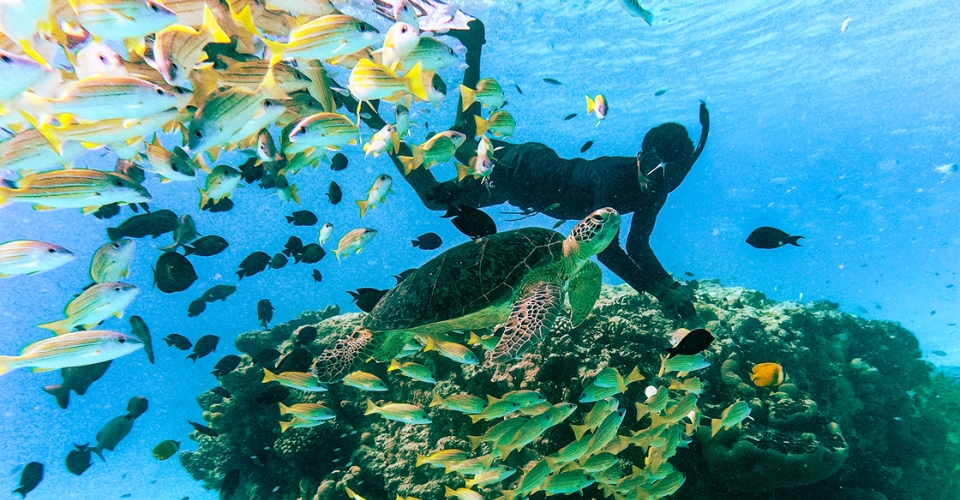 Snorkeling with Veligandu Maldives