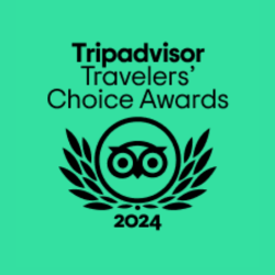 TripAdvisor 2024