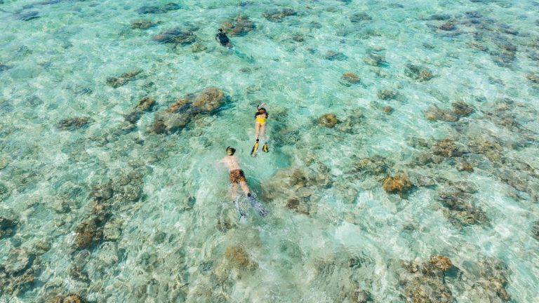 Snorkle at Veligandu Resort House reef