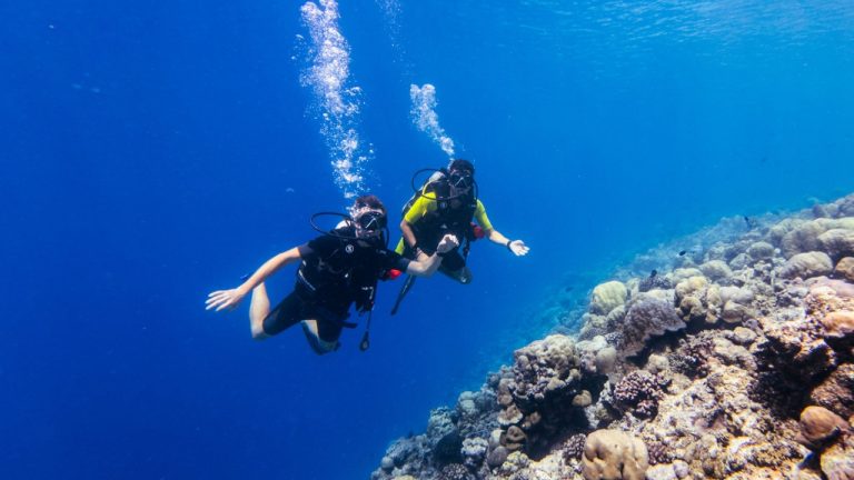 Divers