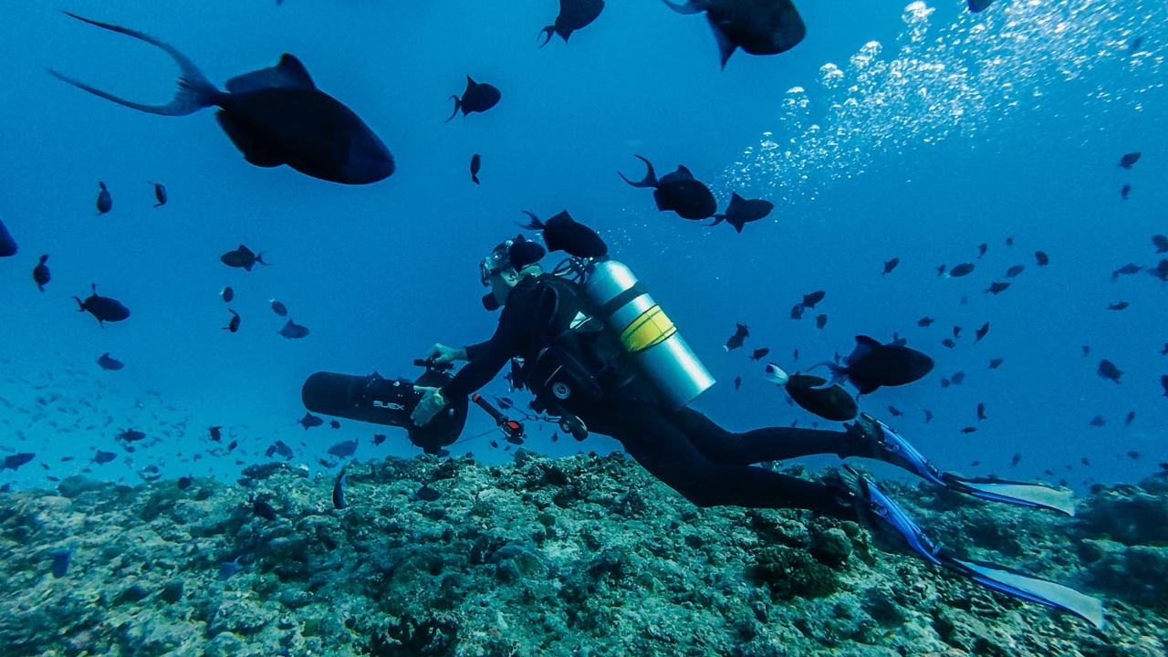Diver in Miyaru Corner