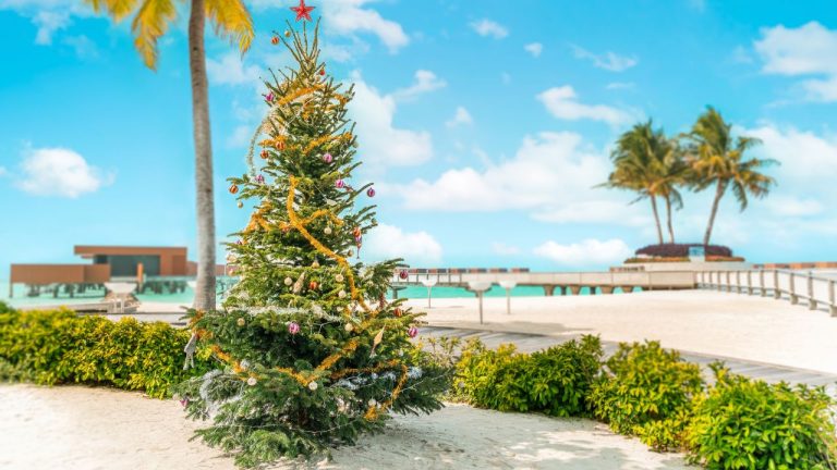Holiday and festive season at Veligandu Maldives with Christmas tree on the beach